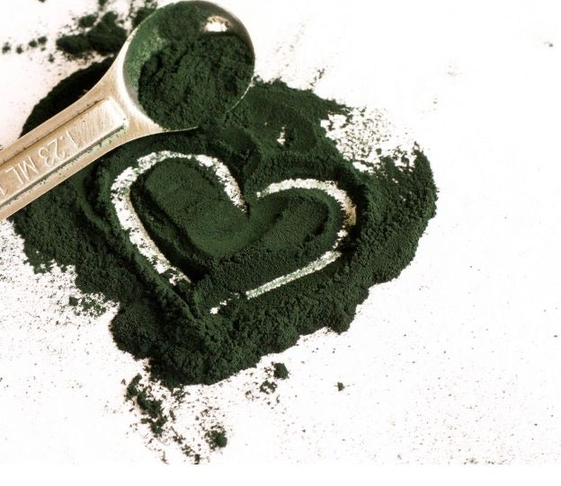 Unlocking the Power of Spirulina and Chlorella: Elevating Your Dog's Health Naturally