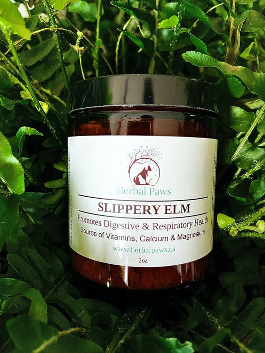 Slippery Elm - Digestive and Respiratory Support